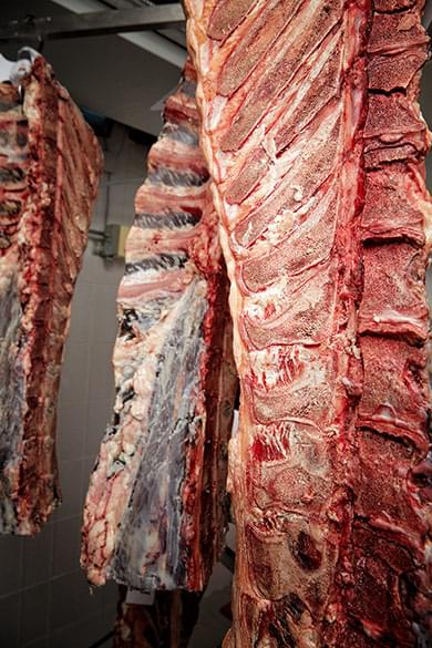 Dry Aged