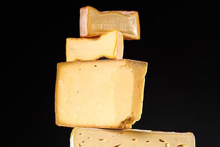 Käse